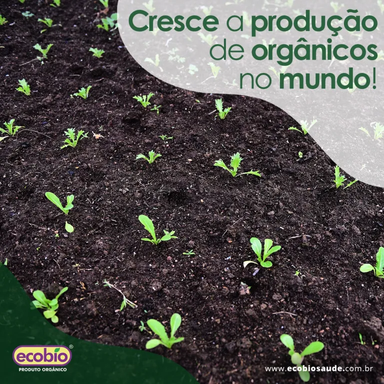 Cresce a produção de orgânicos no mundo!